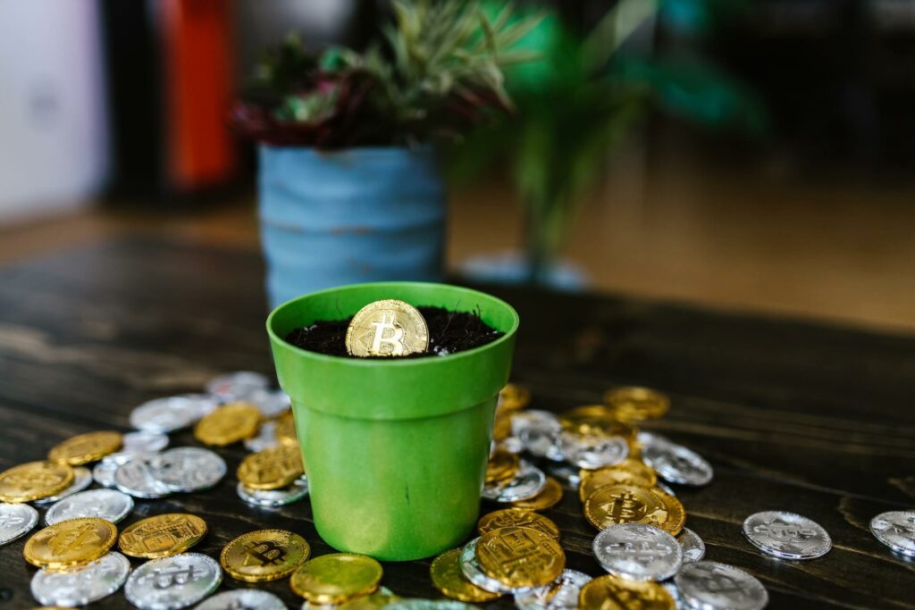 Bitcoin growing in pot
